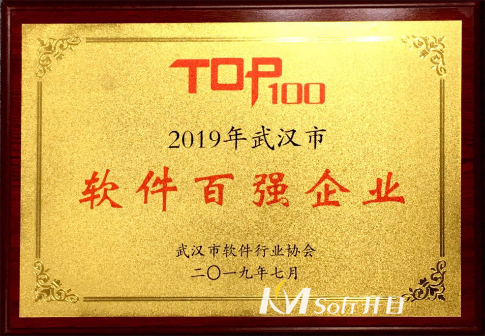 2019年武漢市軟件百強企業(yè)-武漢市軟件行業(yè)協(xié)會