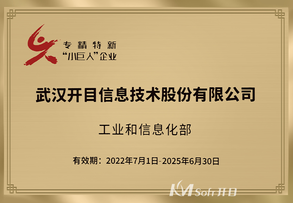 國家級專精特新“小巨人”企業(yè)